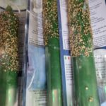 Voladora del comercio 
ventas