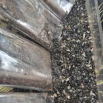 Turmalina negra
en polvo.